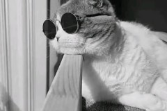 曼联德比战惨败解析：防守漏洞、阵容深度与战术单一难题